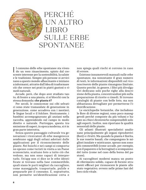Erbe spontanee. Riconoscerle, raccoglierle e conservarle - Wateki Taliana Tobert,Francesca Della Giovampaola,Filippo Bellantoni - 4