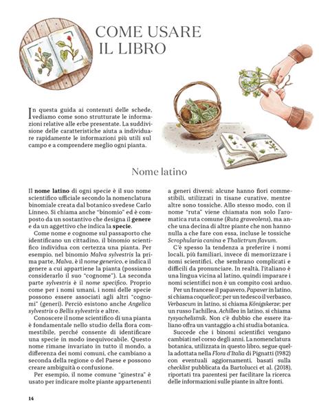 Erbe spontanee. Riconoscerle, raccoglierle e conservarle - Wateki Taliana Tobert,Francesca Della Giovampaola,Filippo Bellantoni - 6