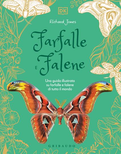 Farfalle e falene - copertina