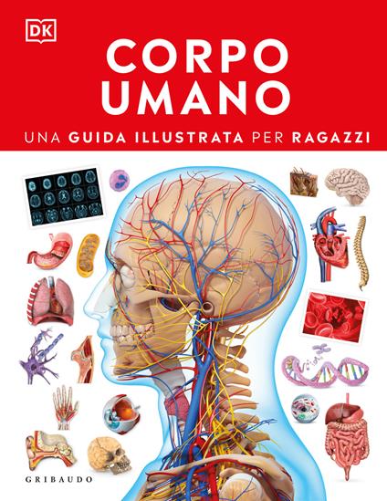 Corpo umano. Una guida illustrata per ragazzi - copertina