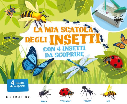 La mia scatola degli insetti con 4 insetti da scoprire. Ediz. illustrata. Con gadget - copertina