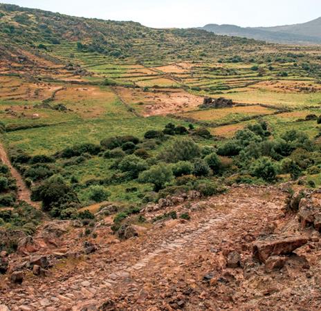Pantelleria. Il gusto delle contrade - 3