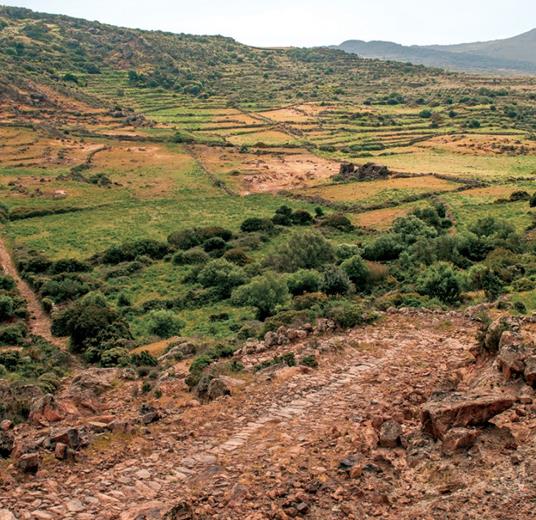 Pantelleria. Il gusto delle contrade - 3