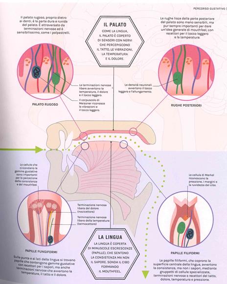 La scienza del gusto. Scopri i segreti dei sapori in cucina - Stuart Farrimond - 3