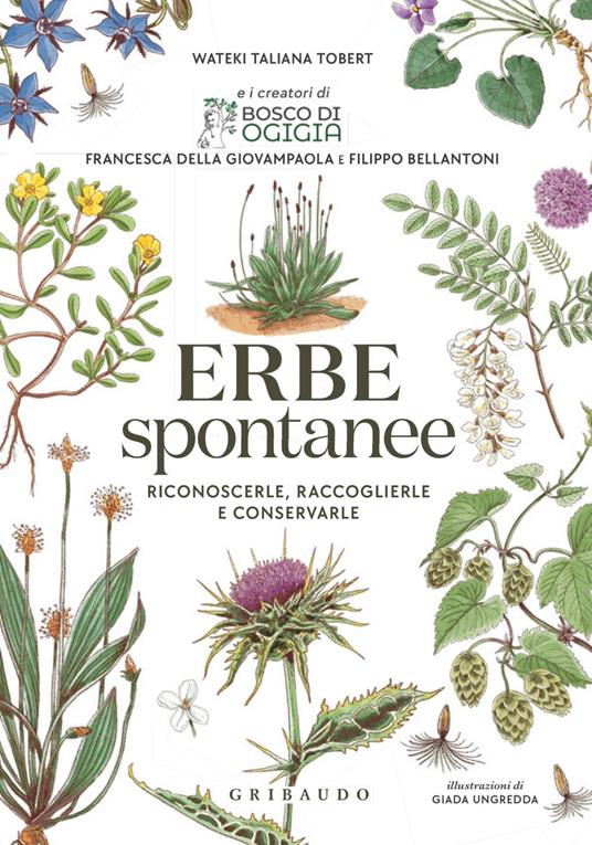 Erbe spontanee. Riconoscerle, raccoglierle e conservarle - Filippo Bellantoni,Francesca Della Giovampaola,Wateki Taliana Tobert,Giada Ungredda - ebook