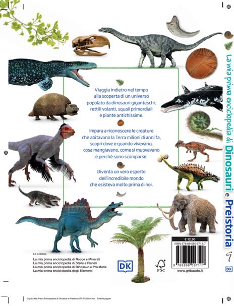 La mia prima enciclopedia di dinosauri e preistoria. Alla scoperta di piante e animali estinti - 2