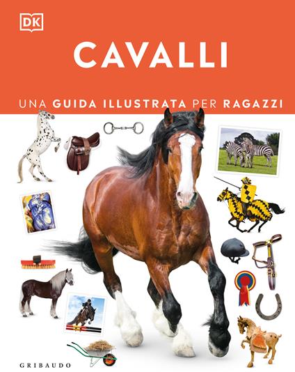 Cavalli. Una guida illustrata per ragazzi - copertina