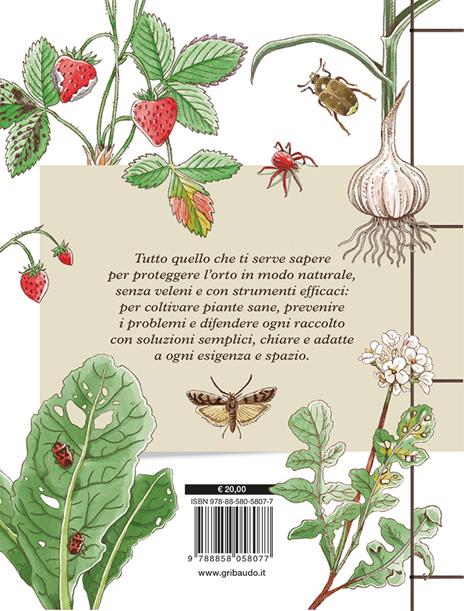 La difesa dell'orto. Il manuale di «Orto da coltivare» per proteggere le piante da insetti e malattie - Matteo Cereda,Pietro Isolan,Sara Petrucci - 12