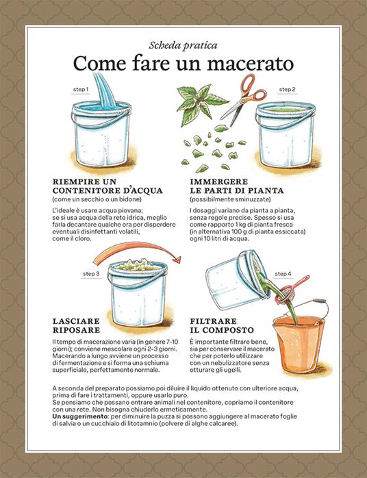 La difesa dell'orto. Il manuale di «Orto da coltivare» per proteggere le piante da insetti e malattie - Matteo Cereda,Pietro Isolan,Sara Petrucci - 4