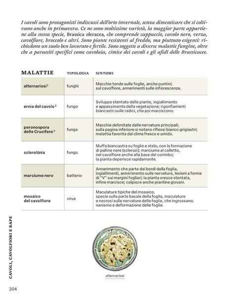 La difesa dell'orto. Il manuale di «Orto da coltivare» per proteggere le piante da insetti e malattie - Matteo Cereda,Pietro Isolan,Sara Petrucci - 8