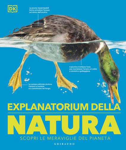 DK Explanatorium della natura. Scopri le meraviglie del pianeta. Ediz. a colori - copertina