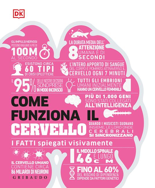 Come funziona il cervello. I fatti spiegati visivamente. Ediz. illustrata - copertina
