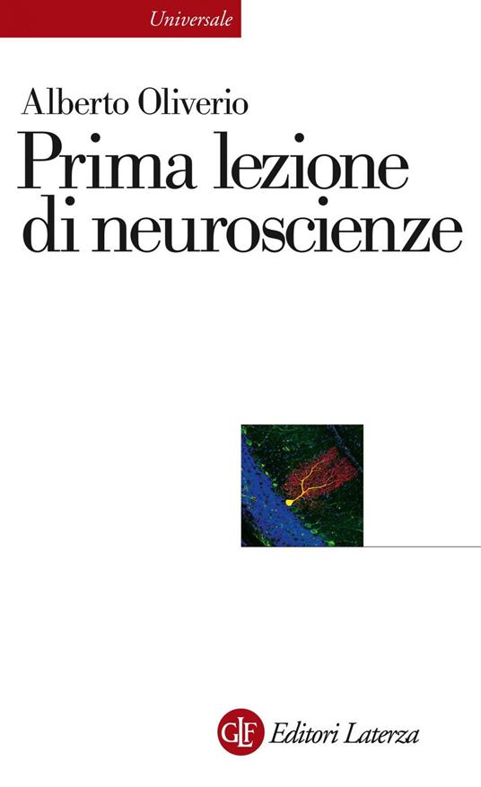 Prima lezione di neuroscienze - Alberto Oliverio - ebook