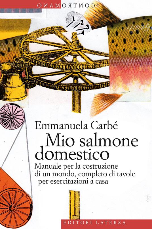 Mio salmone domestico. Manuale per la costruzione di un mondo, completo di tavole per esercitazioni a casa. Ediz. illustrata - Emmanuela Carbé - ebook