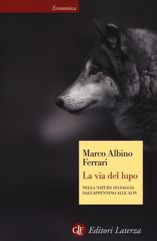 La via del lupo. Nella natura selvaggia dall'Appennino alle Alpi - Marco Albino Ferrari - copertina