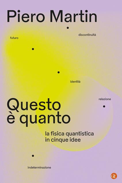 Questo è quanto. La fisica quantistica in cinque idee - Piero Martin - ebook