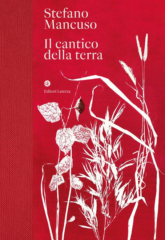 Il cantico della terra - Stefano Mancuso - copertina