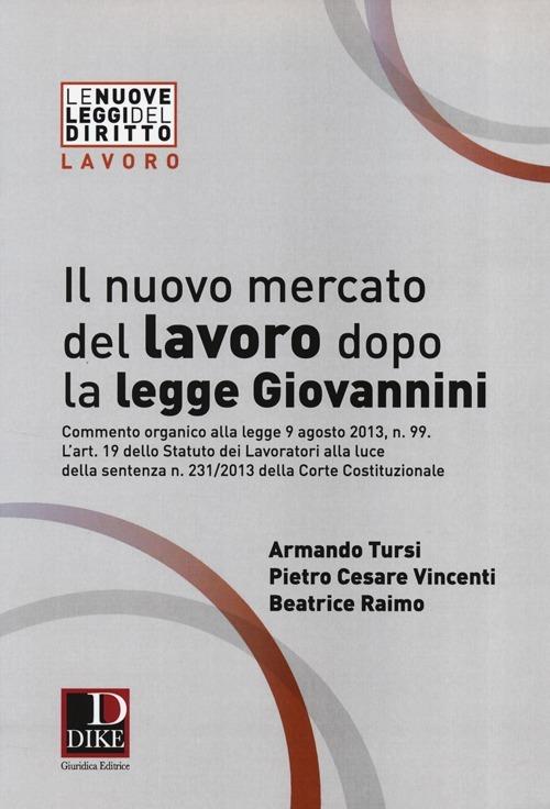 Il nuovo mercato del lavoro dopo la legge Giovannini - Armando Tursi,Pietro Cesare Vincenti,Beatrice Raimo - copertina