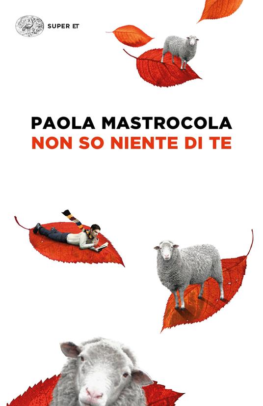 Non so niente di te - Paola Mastrocola - ebook