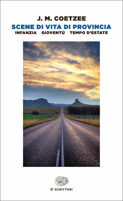 Scene di vita di provincia: Infanzia-Gioventù-Tempo d'estate - J. M. Coetzee,Maria Baiocchi,Franca Cavagnoli - ebook