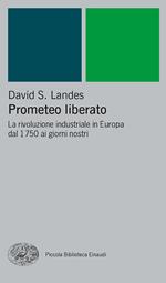 Prometeo liberato. Trasformazioni tecnologiche e sviluppo industriale nell'Europa occidentale dal 1750 ai giorni nostri