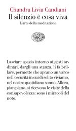 Il silenzio è cosa viva. L'arte della meditazione