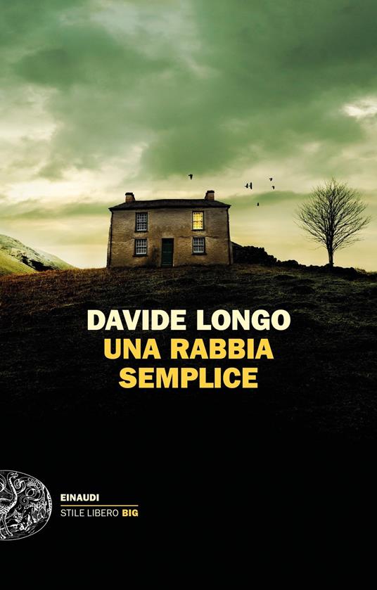 Una rabbia semplice - Davide Longo - ebook