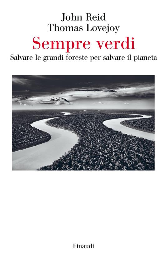 Sempre verdi. Salvare le grandi foreste per salvare il pianeta - Thomas E. Lovejoy,John W. Reid,Antonio Casto - ebook