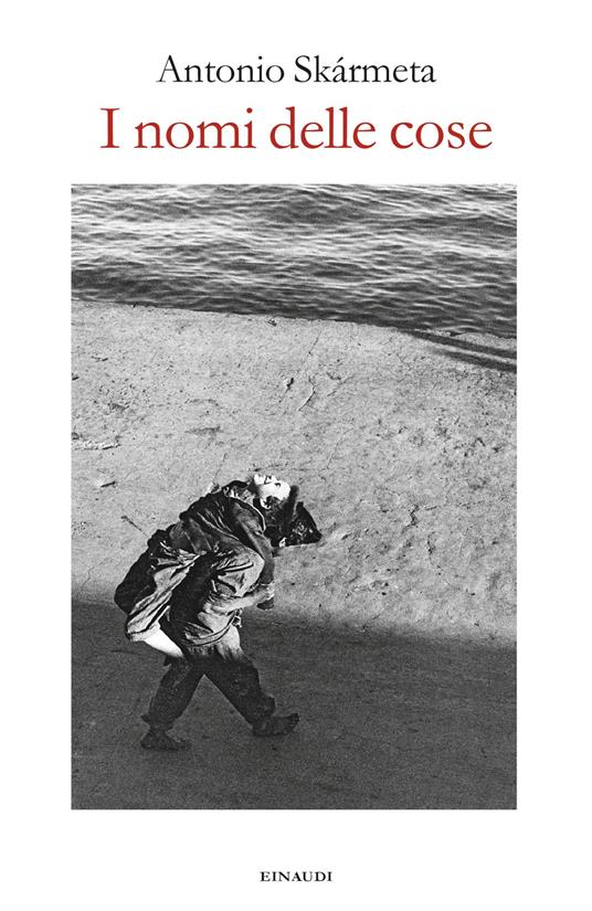 I nomi delle cose - Antonio Skármeta,Paolo Collo,Federica Niola - ebook