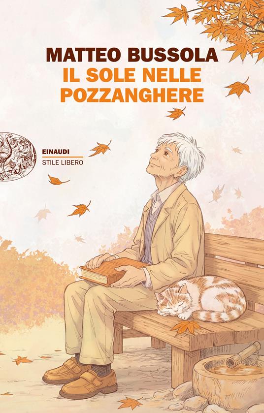 Il sole nelle pozzanghere - Matteo Bussola - ebook