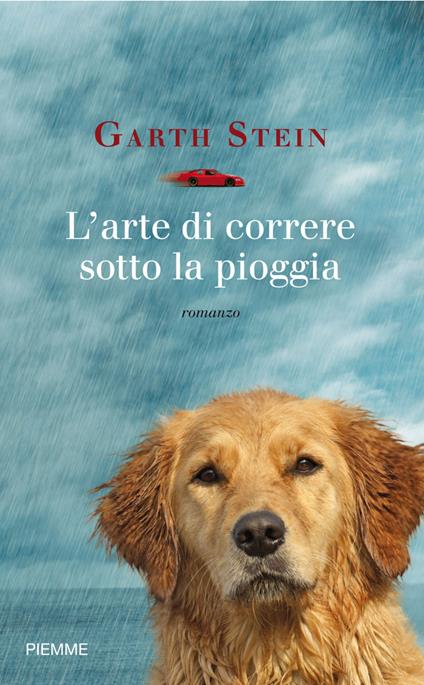 L' arte di correre sotto la pioggia - Garth Stein,Federica Merani - ebook