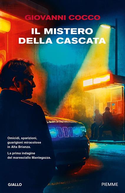 Il mistero della cascata - Giovanni Cocco - ebook