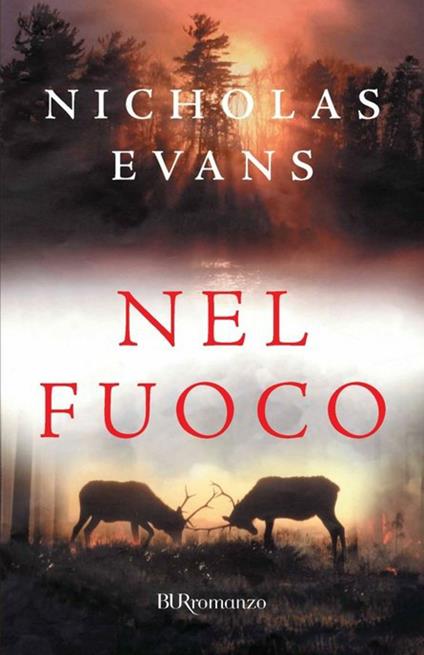 Nel fuoco - Nicholas Evans,M. Nicola - ebook