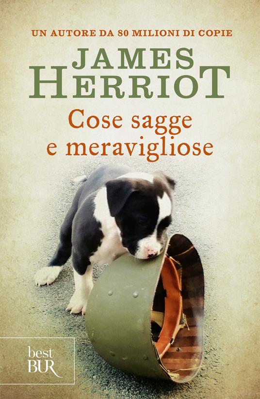 Cose sagge e meravigliose - James Herriot,B. Oddera - ebook