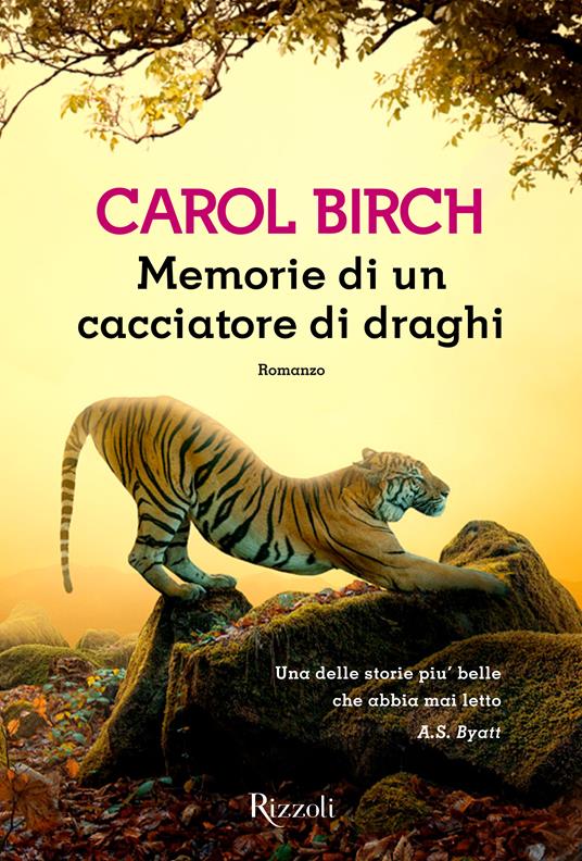 Memorie di un cacciatore di draghi - Carol Birch,Paolo Falcone - ebook