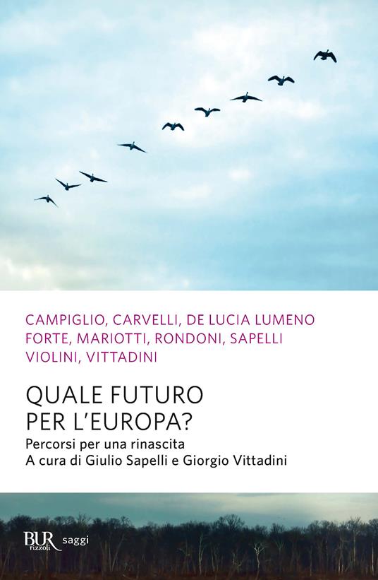 Quale futuro per l'Europa? - Luigi Campiglio,Maurizio Carvelli,Giuseppe De Lucia Lumeno - ebook