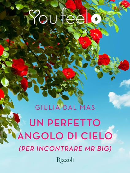 Un perfetto angolo di cielo (per incontrare Mr Big) (Youfeel) - Giulia Dal Mas - ebook