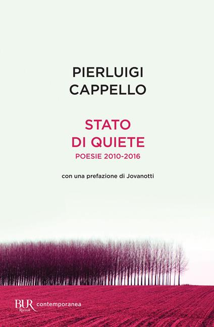 Stato di quiete - Pierluigi Cappello - ebook