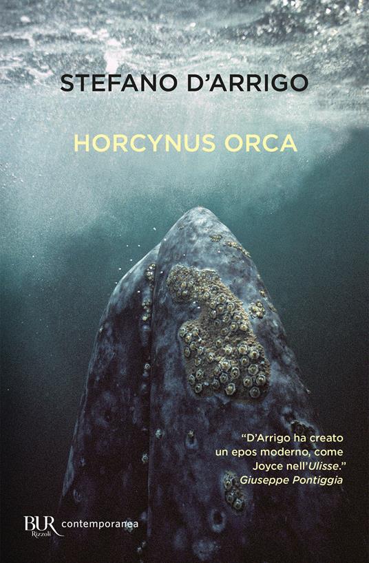 Horcynus Orca - Stefano D'Arrigo - ebook