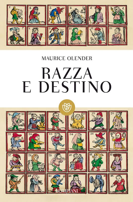 Razza e destino - Maurice Olender,Daniele Barbieri,S. Facioni - ebook