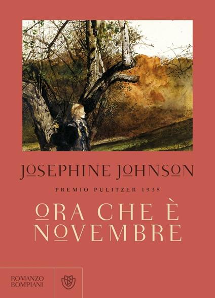 Ora che è novembre - Josephine W. Johnson,Beatrice Masini - ebook