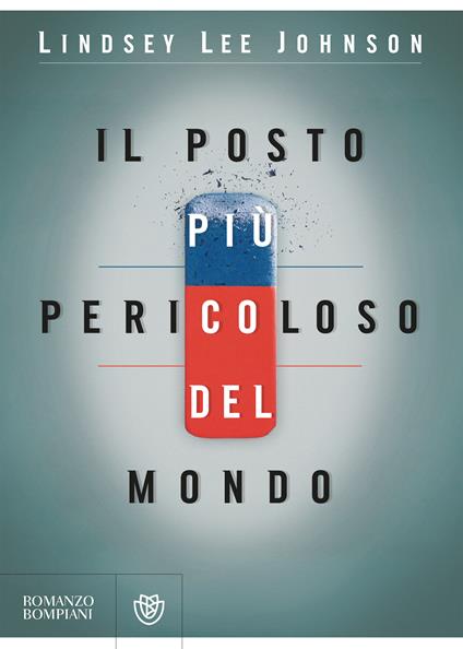 Il posto più pericoloso del mondo - Lindsey Lee Johnson,Sara Reggiani - ebook