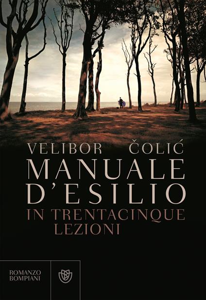 Manuale d'esilio - Velibor Colic - ebook