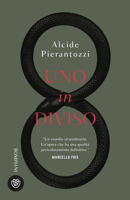 Uno in diviso - Alcide Pierantozzi - ebook