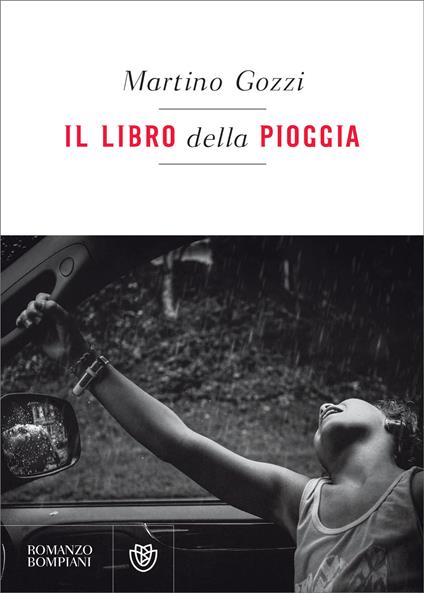 Il libro della pioggia - Martino Gozzi - ebook