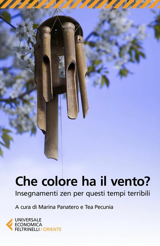 Che colore ha il vento? Insegnamenti zen per questi tempi terribili - Marina Panatero,Tea Pecunia,Yoko Dozaki - ebook