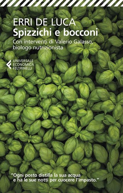 Spizzichi e bocconi - Erri De Luca - ebook