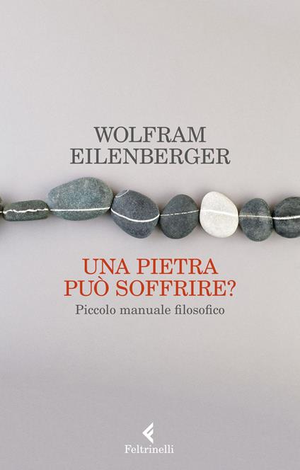 Una pietra può soffrire? Piccolo manuale filosofico - Wolfram Eilenberger,Flavio Cuniberto,Elena Sciarra - ebook