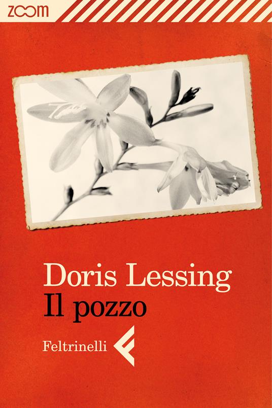 Il pozzo - Doris Lessing,Grazia Gatti - ebook