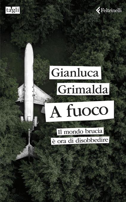 A fuoco. Il mondo brucia è ora di disobbedire - Gianluca Grimalda - ebook